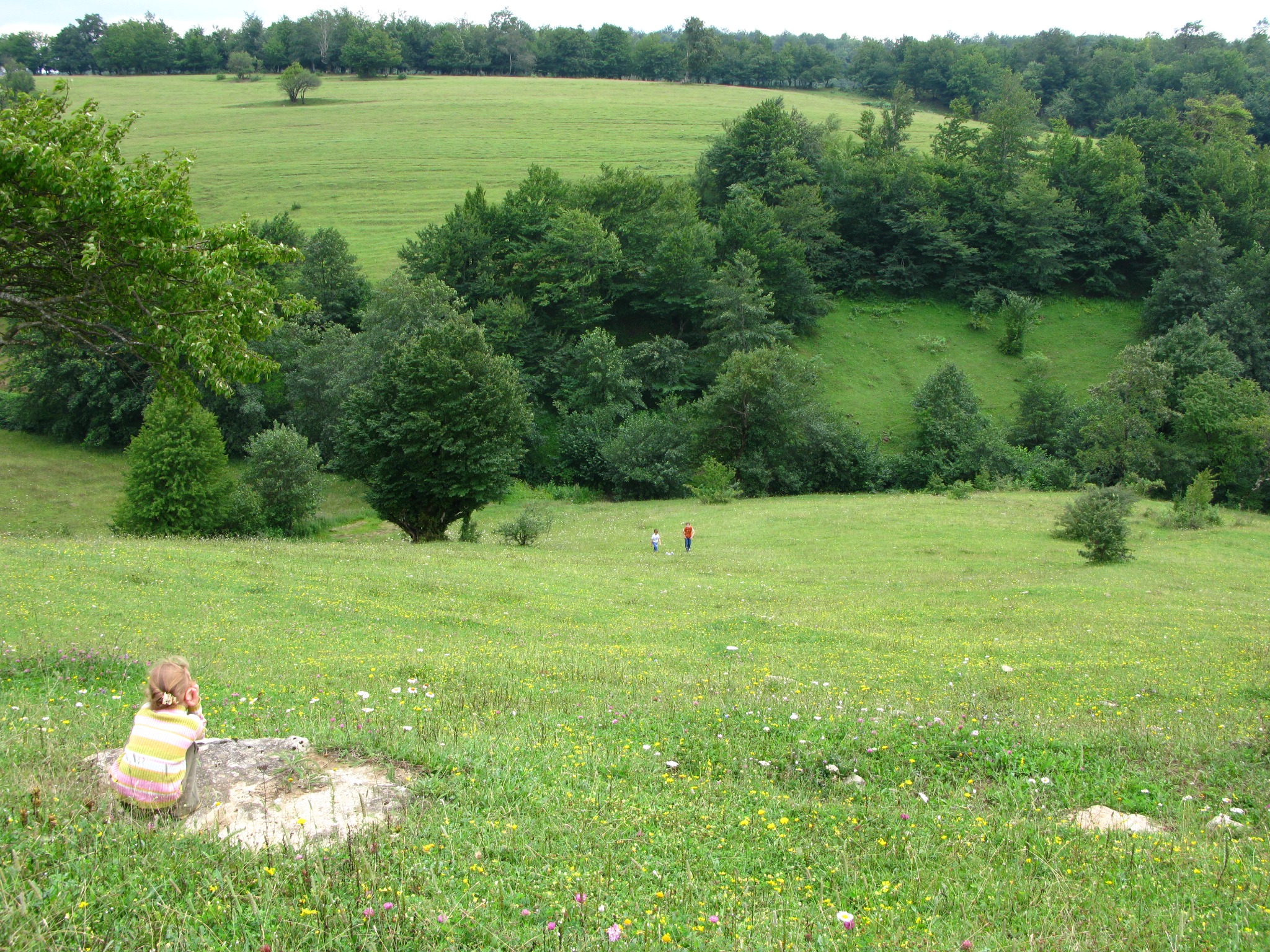 Nigvzara, August 2008