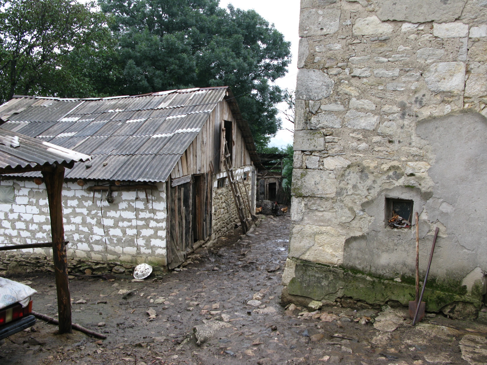 Village courtyard in Nigvzara, August 2008